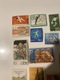 Zdjęcie oferty: Zestaw znaczków DDR / NRD – sport, sztuka, historia, flora