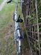 Zdjęcie oferty: Rower Damka GAZELLE 28'