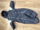 Zdjęcie oferty: Kombinezon zimowy rozmiar na 80 cm