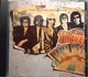 Zdjęcie oferty: TREVELING WILBURYS - Vol.1