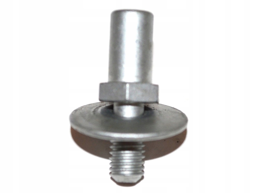 фото №1, Штифт двері iveco daily 06 bok góra