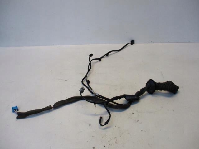 фото №1, Жгут электропроводка дверь правый перед kangoo iii