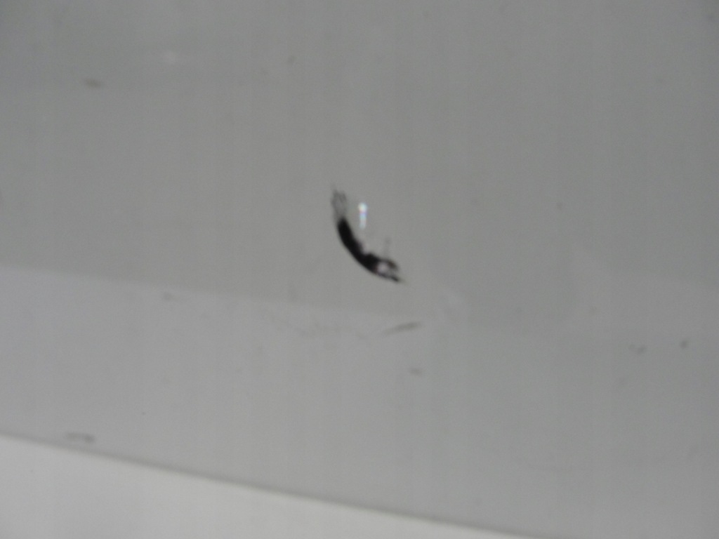 фото №6, Стекло датчик mitsubshi outlander iii 12- + клей