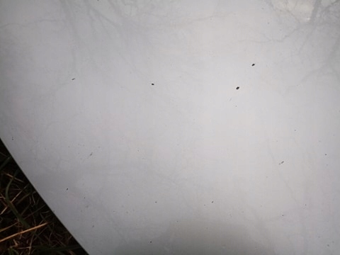 фото №3, Mazda 6 капот передняя gj8aa