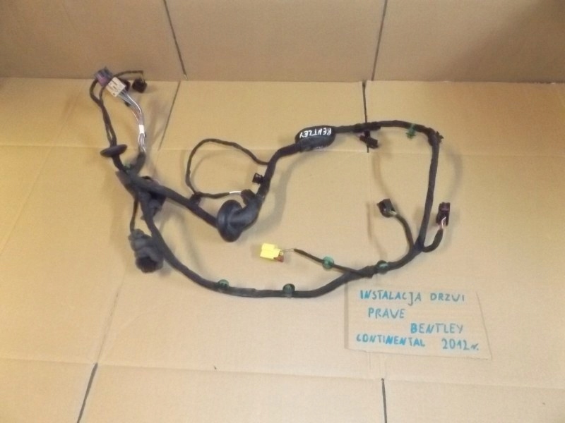 фото №1, Bentley continental gt жгут дверь правых правая