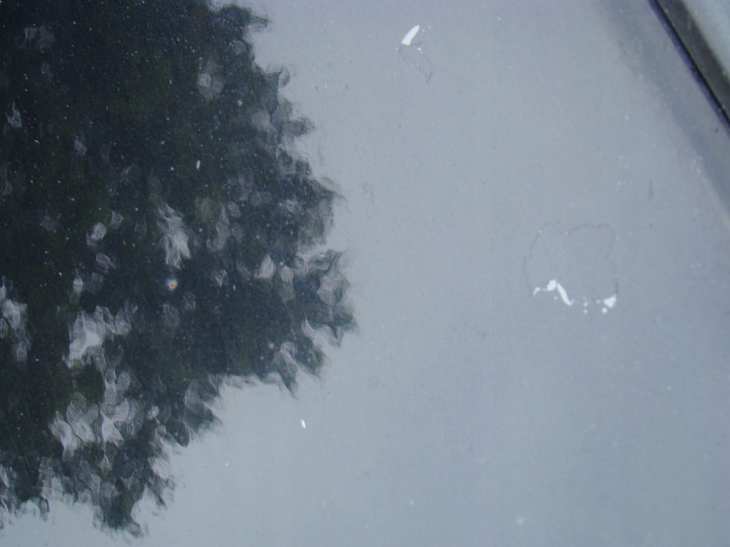 фото №6, Двері перед передні праве bmw x5 e70