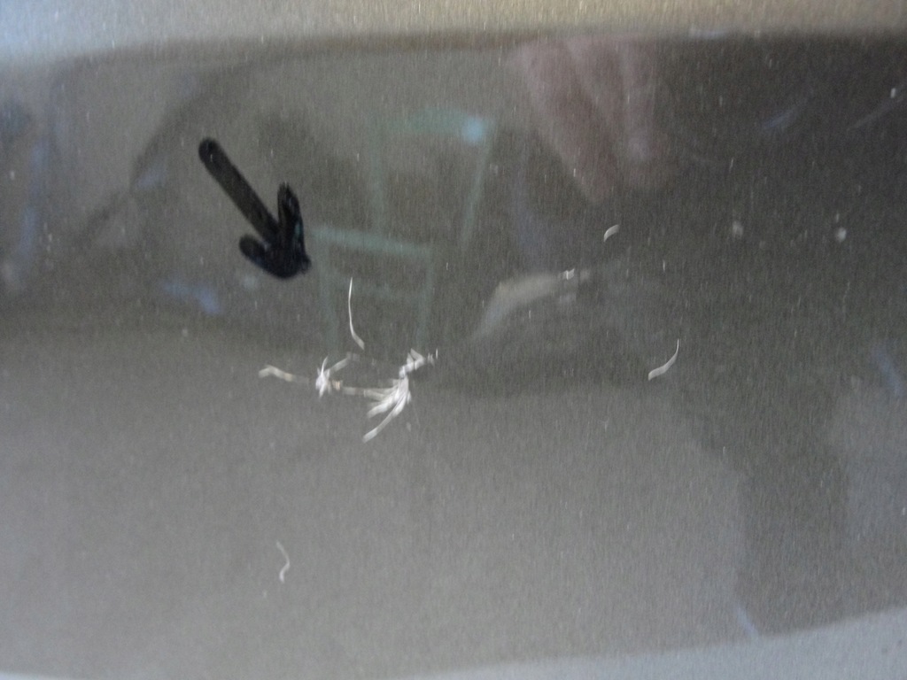 фото №6, Бампер перед передній skoda fabia ii lift 5j0