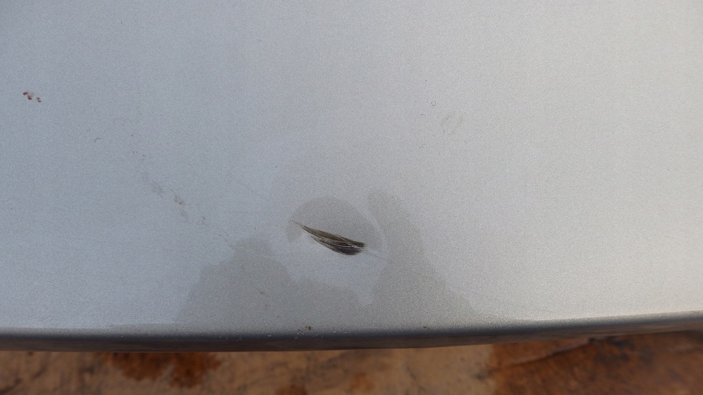 фото №4, Кришка багажника задня задня ford mondeo mk4 htb