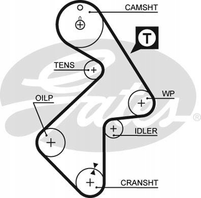 фото №3, Gates 5202xs ремень распределительного вала
