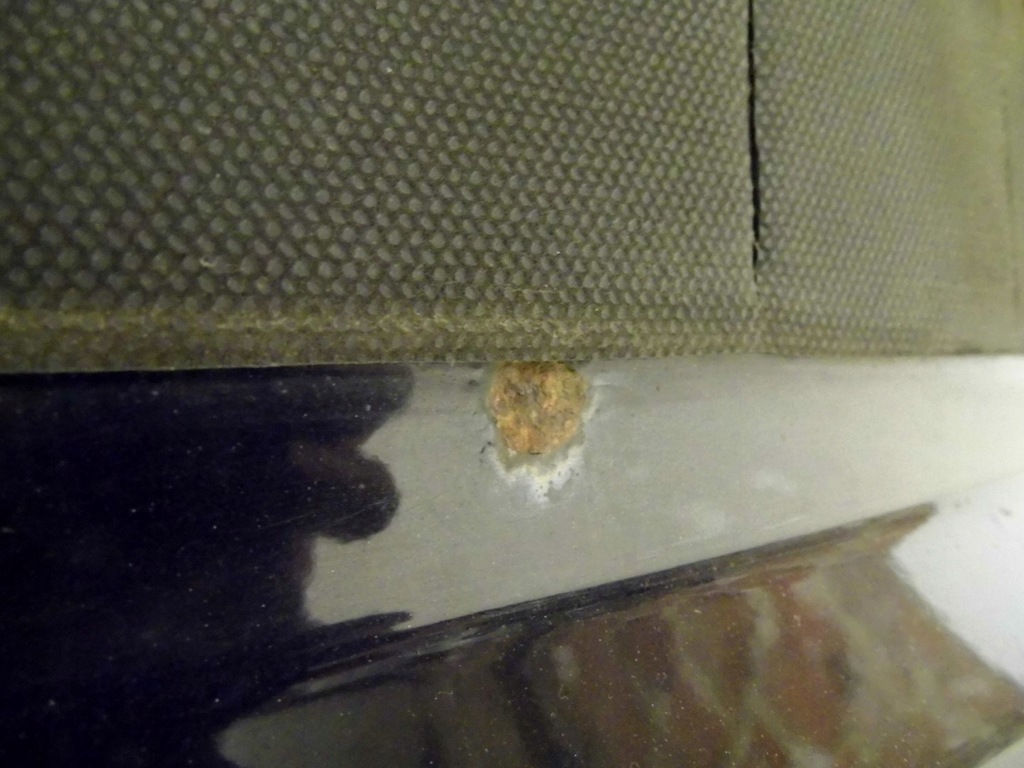 фото №6, Кришка багажника + спойлер задня s-line audi a3 8p 04-12r lz9y