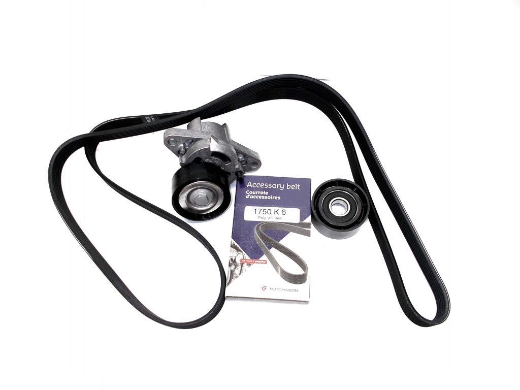 Купить Натяжитель ремень генератора 1.4 1.6 16v megane 1