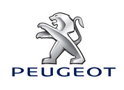 фото №8, Воздуходувка вентилятор peugeot 306 partner europa