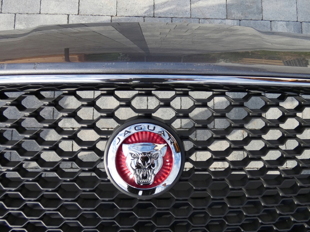 фото №6, Бампер, решётка радиатора, решётка радиатора jaguar xf x260