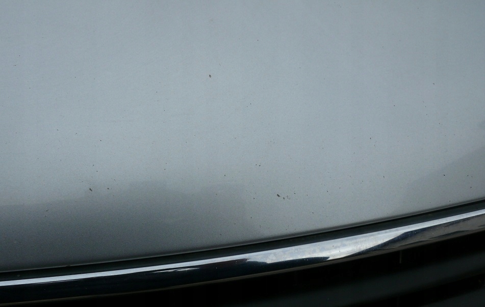 фото №7, Капот решётка радиатора петли audi s6 s-line a6 c5 lift ly7w