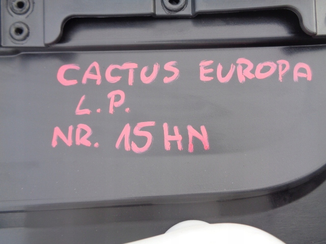 фото №7, C4 cactus обшивка оббивка двері лівий передній eur