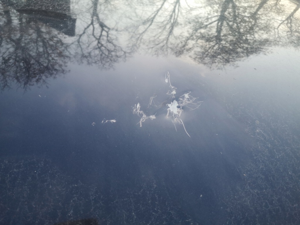 фото №2, Vw passat cc lift крыша