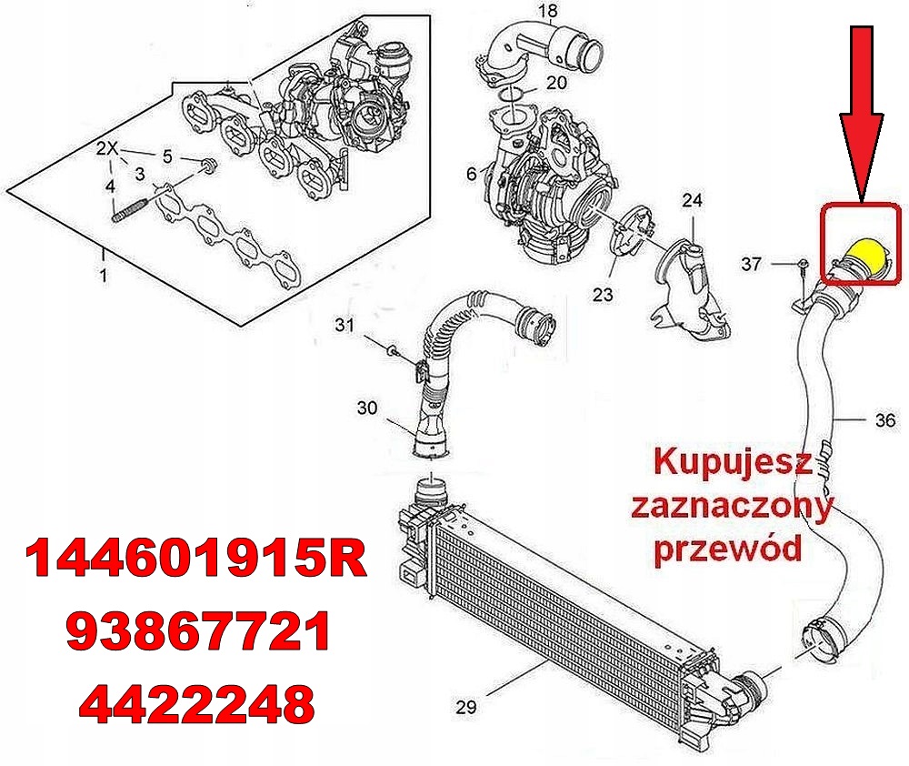 фото №6, Wąż труба впуска opel vivaro b 1.6 cdti 1065332s01