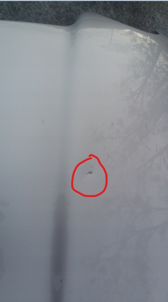 Mercedes slk w171 капот передняя, перед Недорого