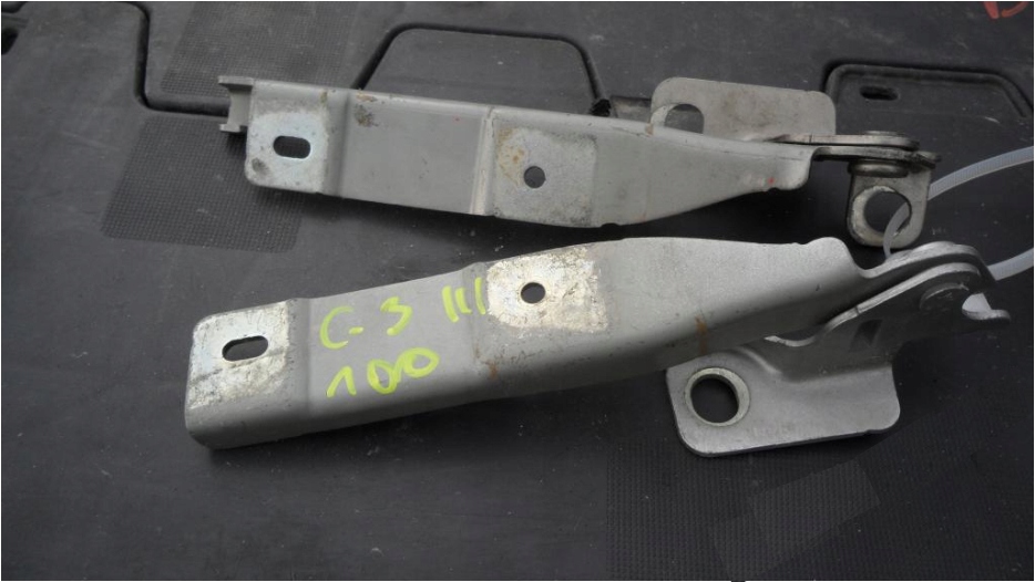 фото №1, Петлі капот do citroen c3 ii