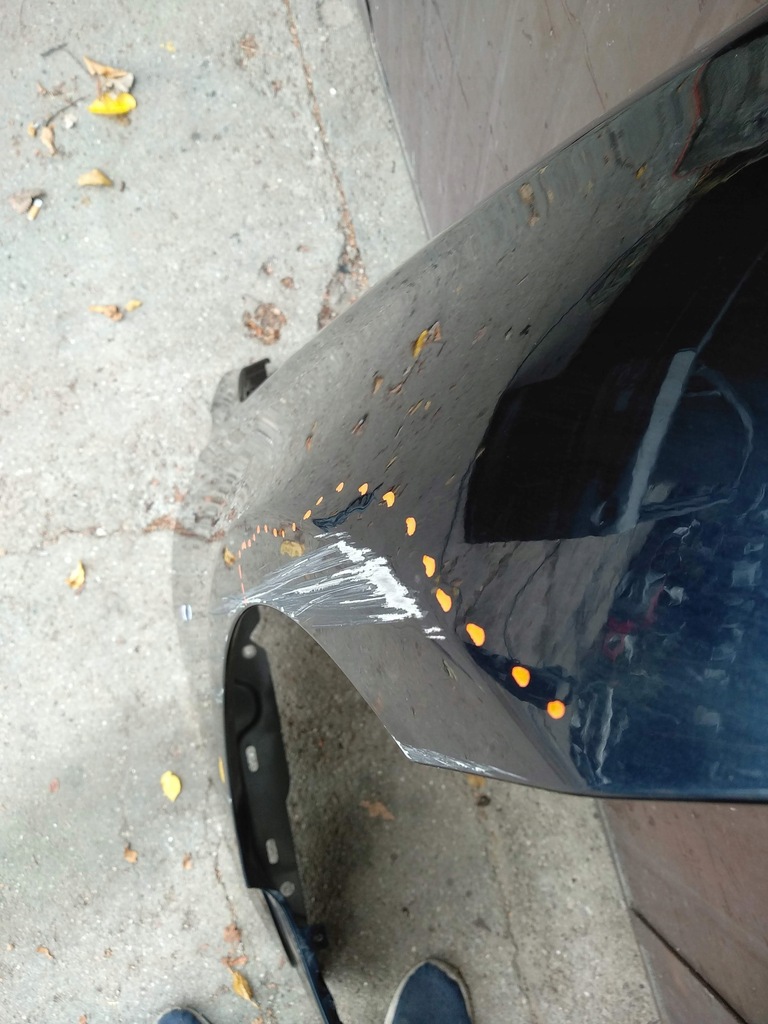 фото №5, Крила правий передній перед bmw 6 g32 2017-^