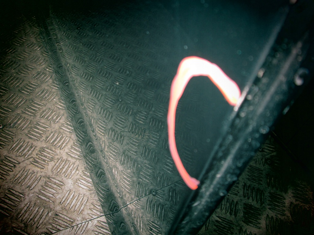 фото №10, Bmw 5 g31 двері праве ліва задня задні