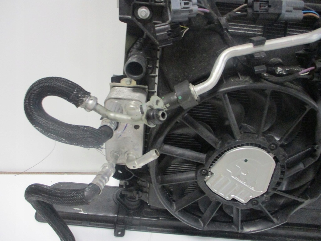 фото №3, 567547 567547567