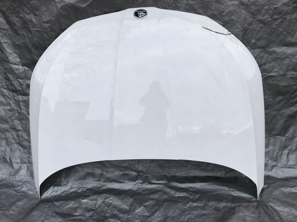 фото №1, Skoda scala капот крышка двигателя