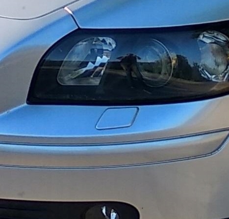 фото №11, Заглушка розпилювача l/ p volvo v50 / s40 кольори