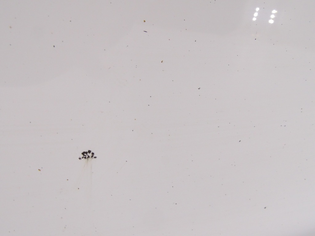 фото №3, Nissan navara iv d23 np300 дверь правый задняя