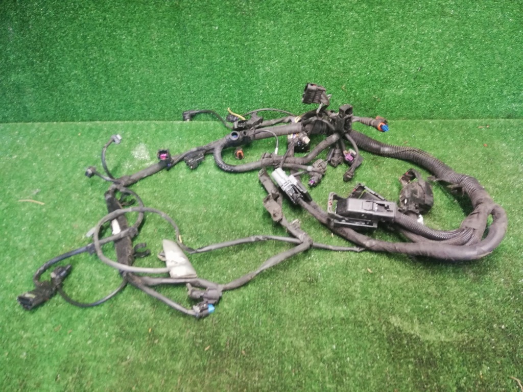 фото №1, Электропроводка двигателя opel meriva b 1.4t 13443547