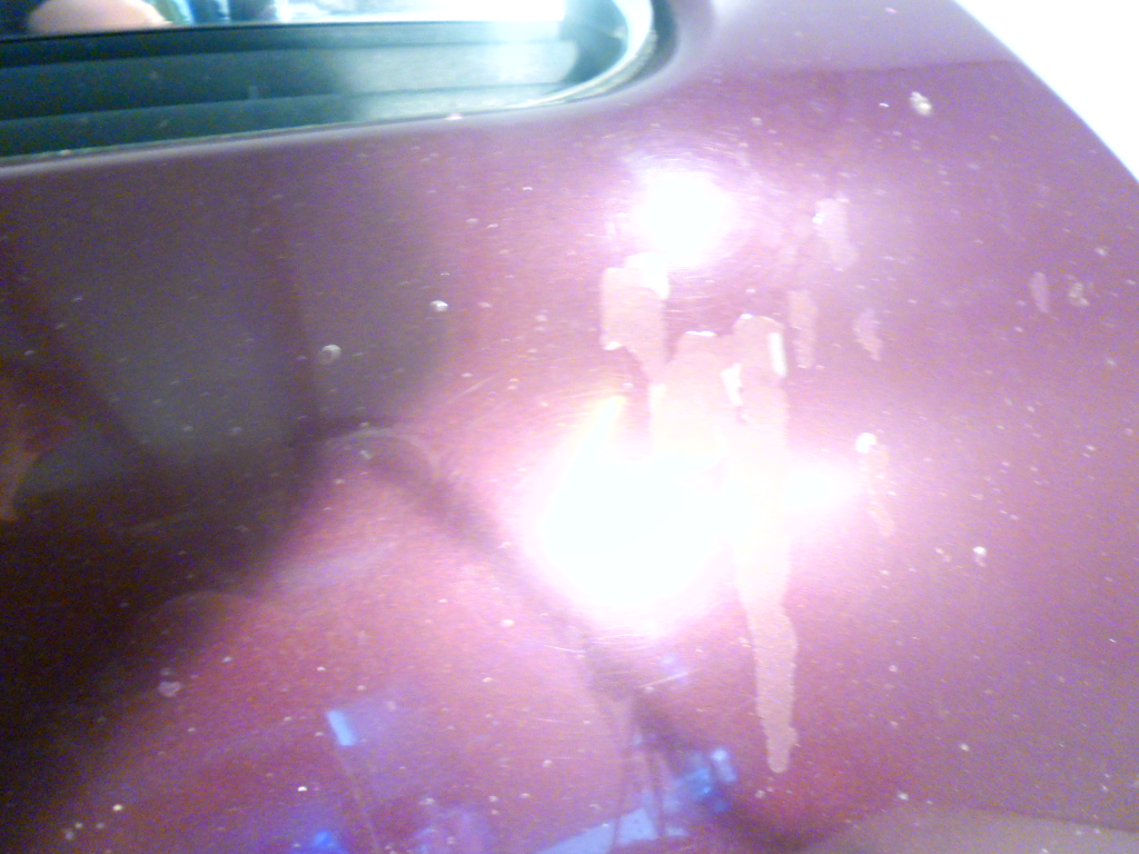 фото №5, Капот перед opel vectra c signum z594