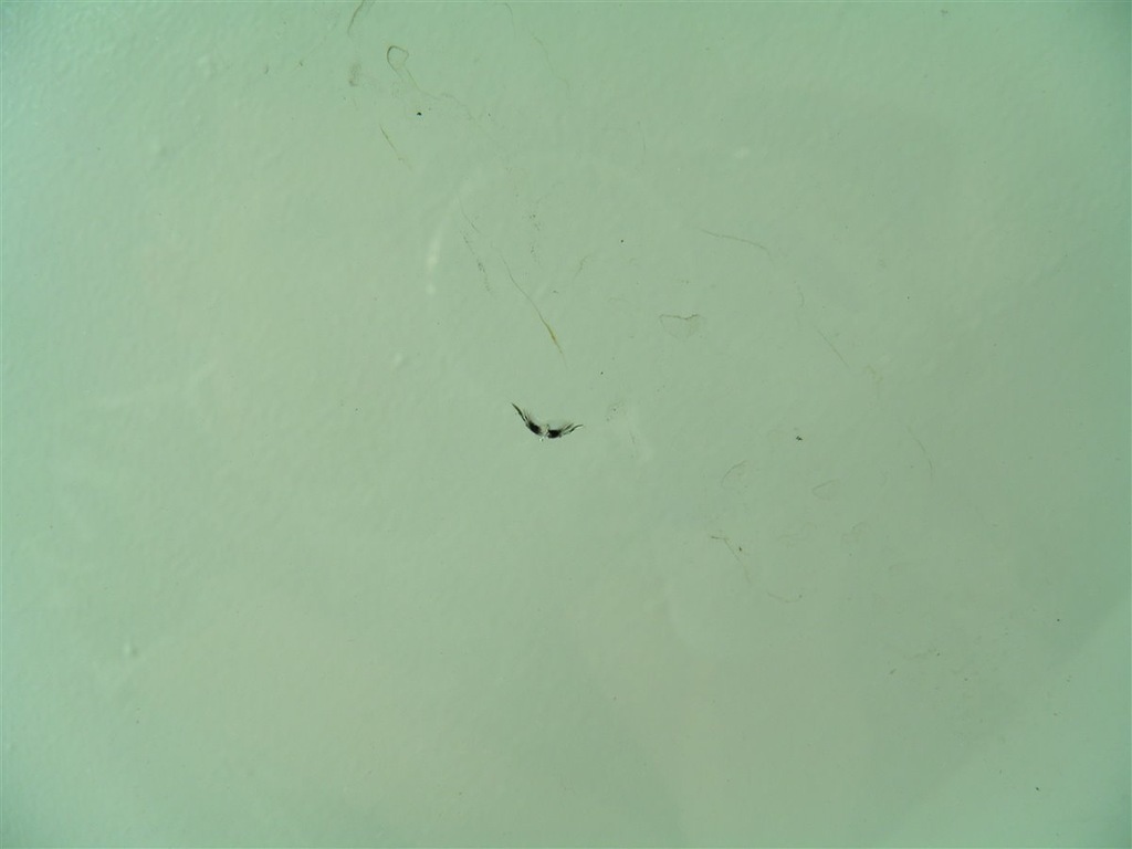 фото №5, Стекло лобовое передняя mercedes w211 a2118701585