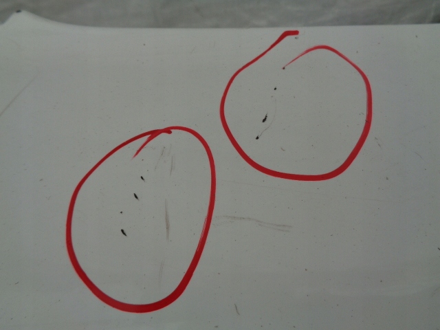 фото №12, Citroen ds3 бампер задний задний pdc