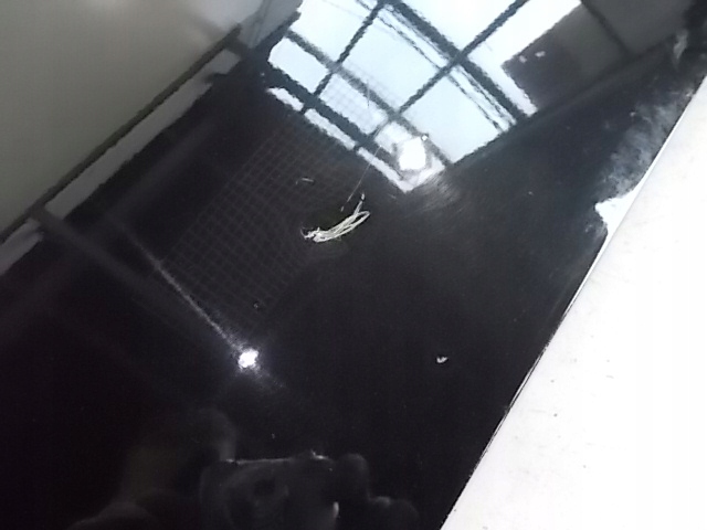 фото №5, Двері лівий перед bmw 3 e90 e91 04-12 оригінал