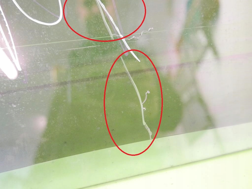 фото №9, Стекло дверная правая задняя задняя ford galaxy mk1 95-