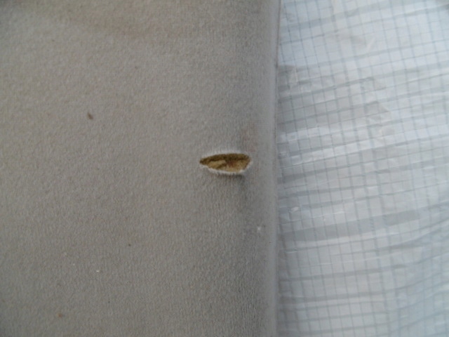 фото №4, Citroen c4 picasso grand потолок потолок