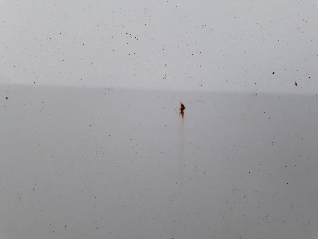 фото №5, Дверь правый перед ford transit vii