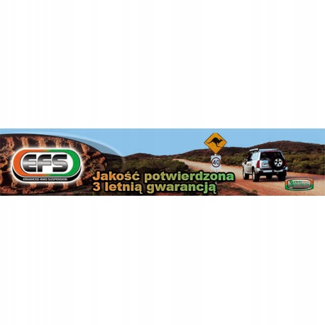 фото №6, Пружины efs задняя задние nissan patrol gr y60 +2''