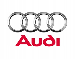 Амортизаторы подушки безопасности задняя audi a3 8p + защита Доставка