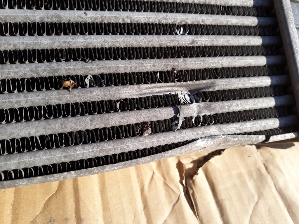 фото №4, Интеркулер suzuki sx4 fiat sedici 1.9