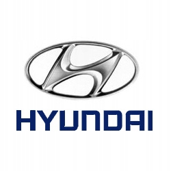 Амортизаторы пружины перед hyundai tuscon jm 04- в Украине
