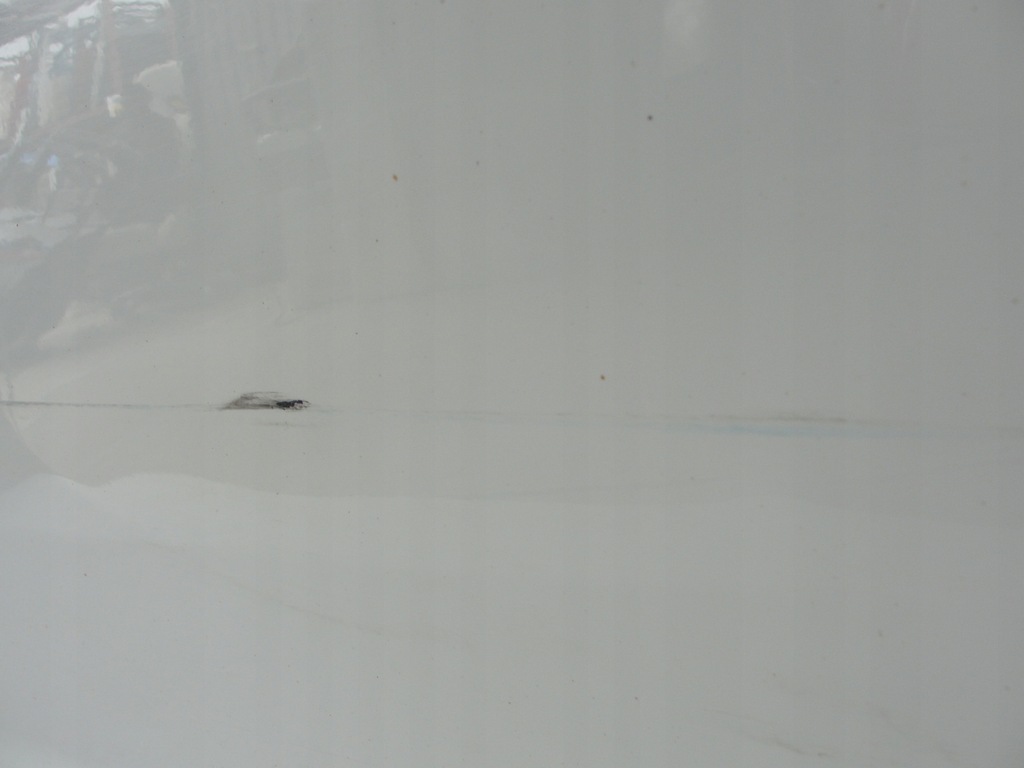 фото №4, Дверь перед левая opel corsa d 3d