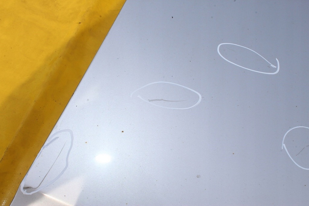 фото №6, Двері правий перед nissan navara d40 klo k804