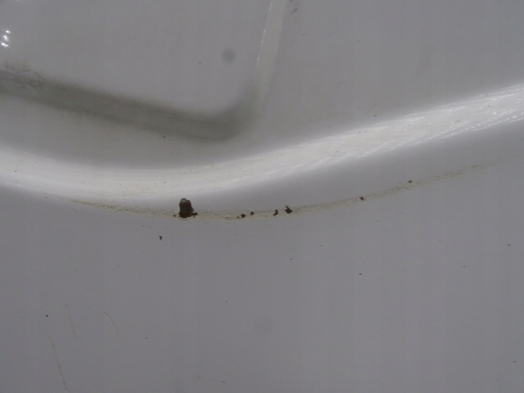 фото №5, Renault midlum 00-06 dci двері лівий задня задні