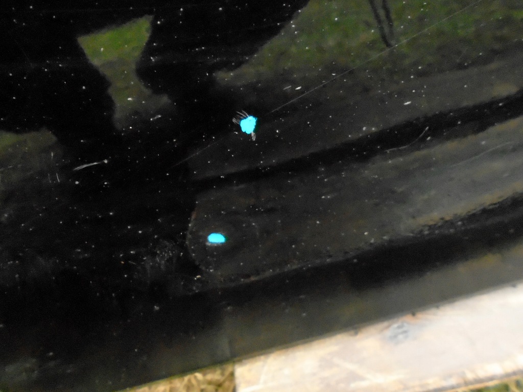 фото №5, Дверь перед правый avensis verso lift 01-09 ipsum