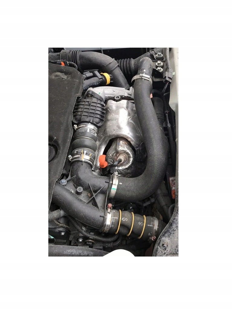 фото №5, C4 aircross asx 4008 1.6 did hdi труба вихлопна сітка вихлоп