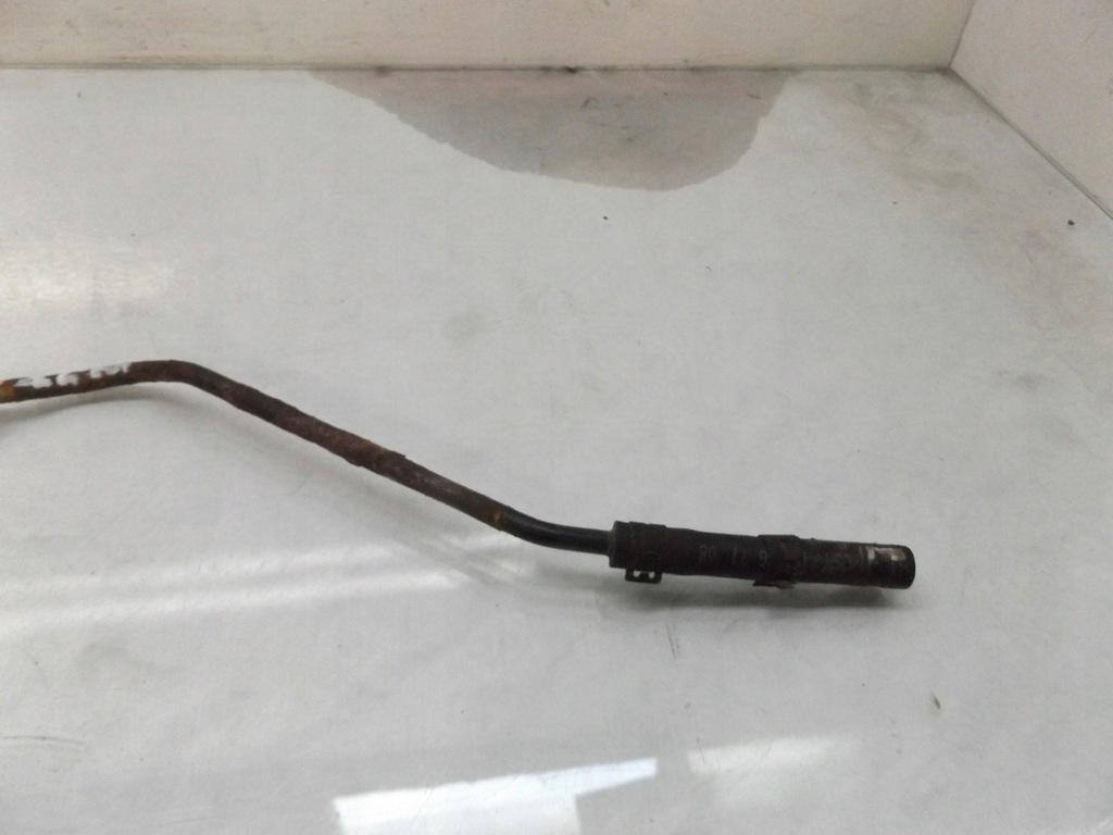 фото №3, Fabia i труба wąż усилителя