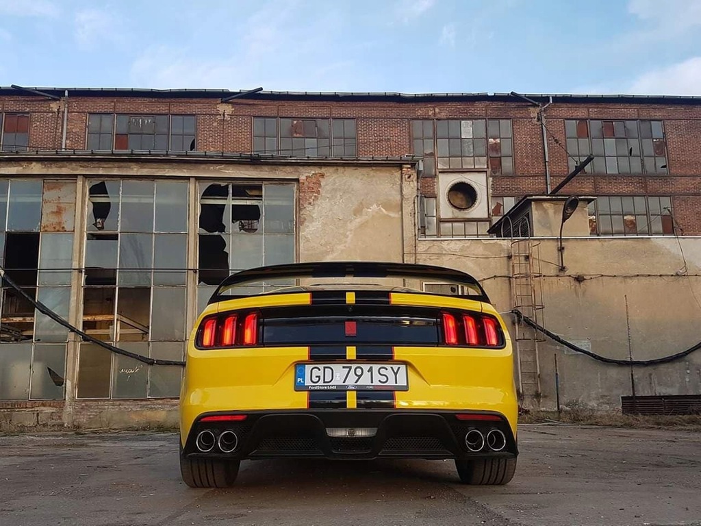 фото №9, Новый диффузор с насадки gt350 do mustanga 4 трубы