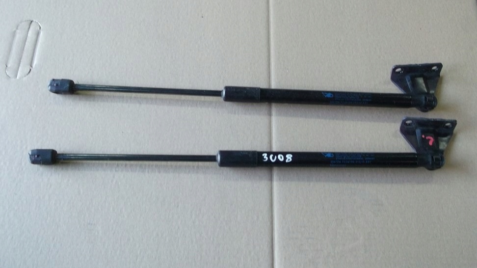 фото №1, Peugeot 3008 привод амортизатор крышки