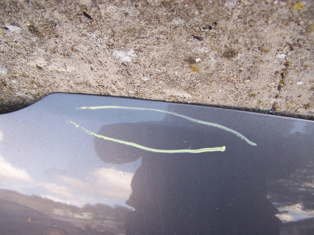 фото №6, Mazda 5 капот 32s 05-